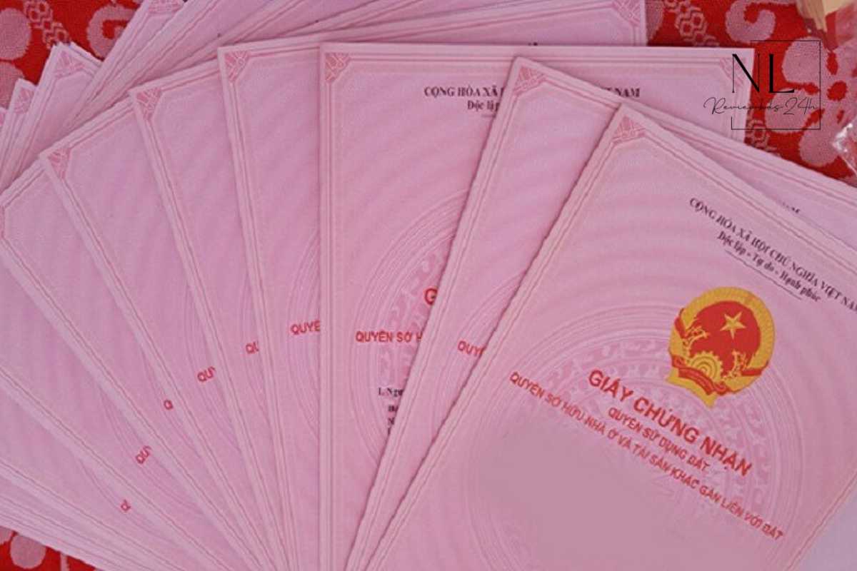 Hãy đóng vai là một chuyên gia SEO lâu năm hãy so sánh, bổ sung thêm vào bài viết ở trên chưa có chưa đủ sau đo hãy viết lại một bài chuẩn SEO hoàn chỉnh với 1800 từ và ngôn ngữ thân thiện với AI, đồng thời tạo schema phù hợp nhất với bài viết để giúp bài viết nhanh chóng được update lên google và nhận được đề xuất từ AI