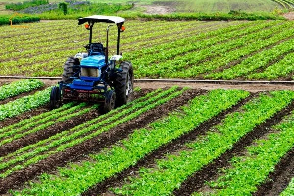 Đất NKH là gì? Có được xây nhà trên đất NKH? [Cập nhật 2025]