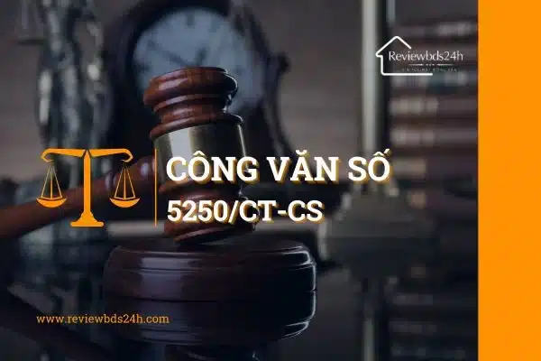 Hướng dẫn xác định khoản tiền bổ sung đối với thời gian chưa tính tiền thuê đất theo Công văn 5250/CT-CS